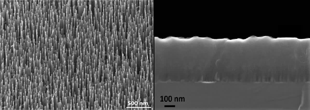 SEM obrázky: GaP nanodrôty (vľavo), GaP nanodrôty pokryté vrstvou ZnO (vpravo).