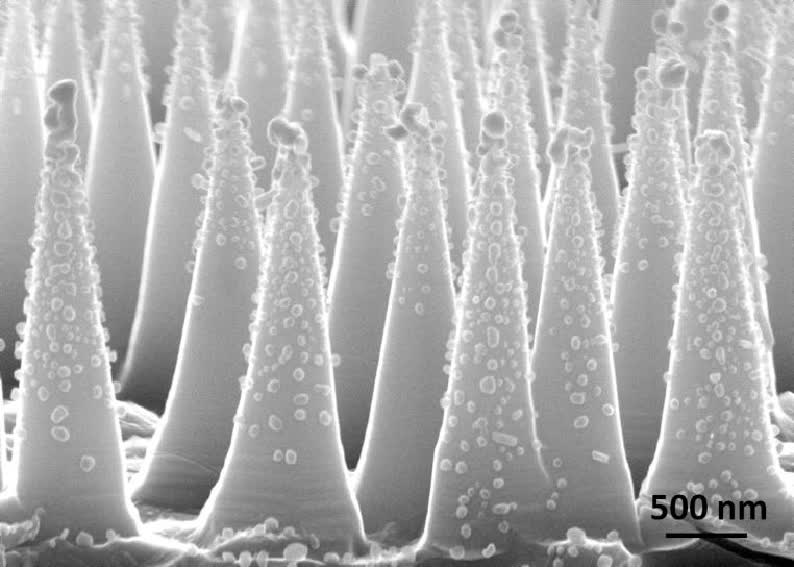 SEM obrázok GaP nanokužeľov pokrytých Ag nanočasticami.